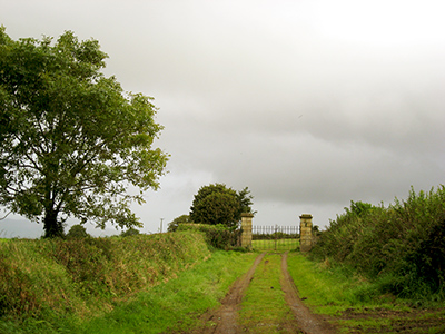 Newchapel graveyard