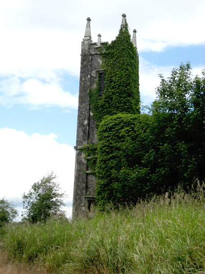 Ruin of Rathronan Church